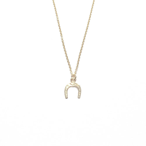 horseshoe necklace